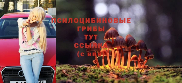 соль ск Горняк